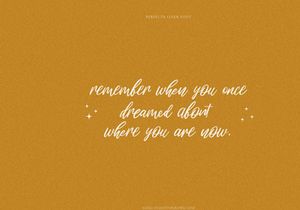 Perfecta Liner - Handwritten Script