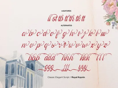 Royal Kaynin | Classic Elegant Script