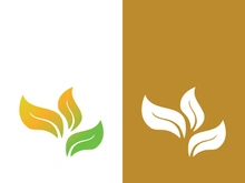 Logos of green tree leaf ecology nature element vector