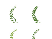Logos of green Tree leaf ecology