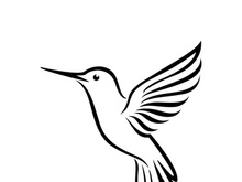 Black and white outline of a hummingbird.