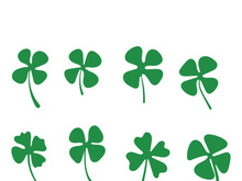 Green Clover Leaf icon Template Design Vector