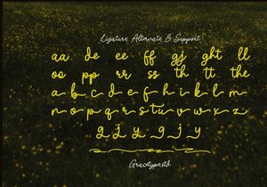 Nicolla Sunfield | Monoline Script