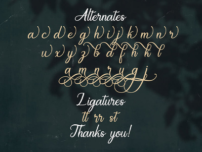 Regalhisa - Calligraphy Script Font