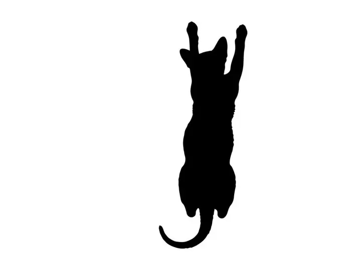 Silhouette of a cat jumping up with front paws raised high