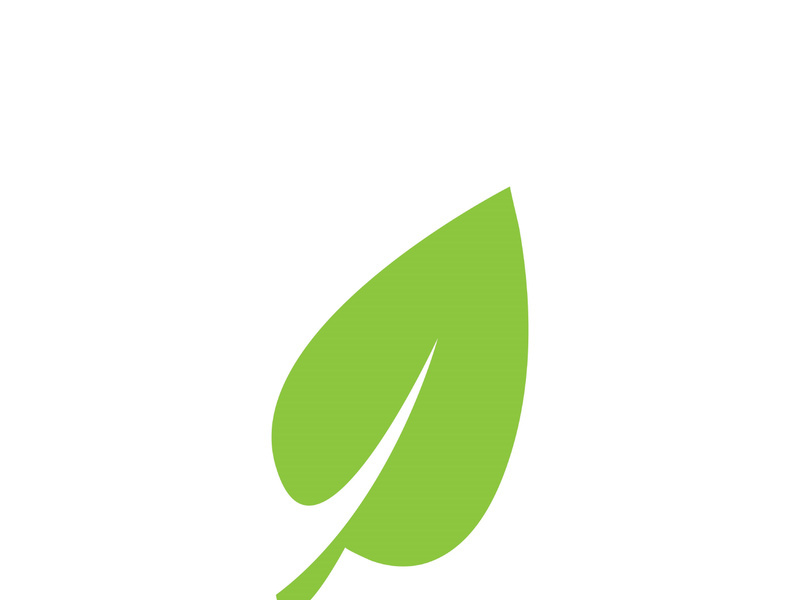 Leaf logo vector icon design template