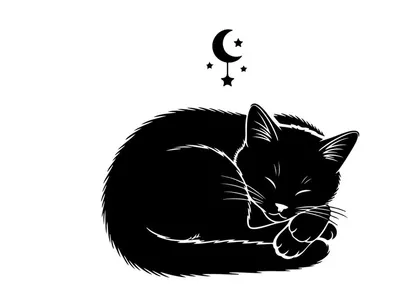 Sleeping cat silhouette under moonlight and stars