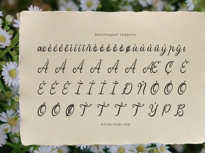 Yinderia | Handwritten Vintage Script