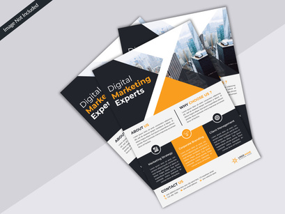 Business Flyer Design Template