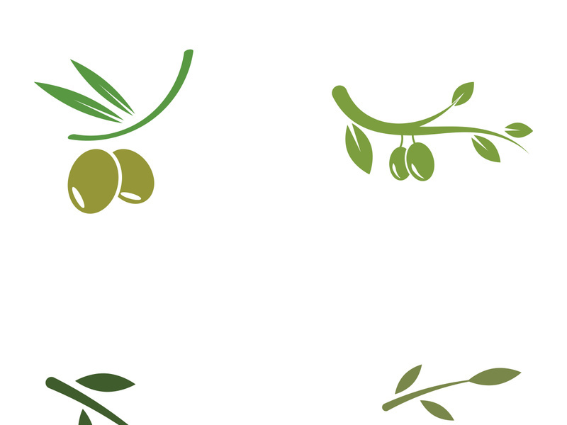 Olive fruit logo design.