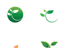 Natural green leaf logo design.