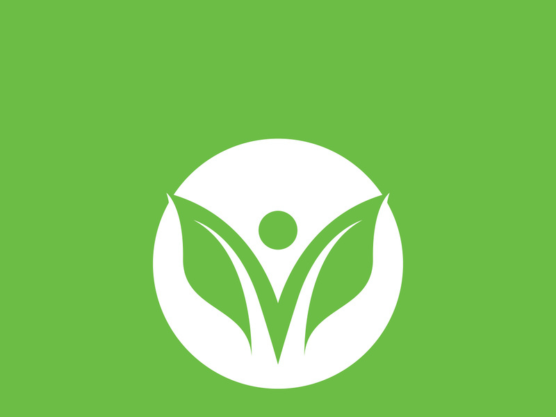 Leaf logo green nature vector image