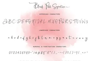 Black Pink Signature Script