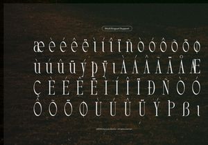 Arkvell | Modern Display Serif