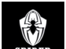 Spider logo icon design vector template