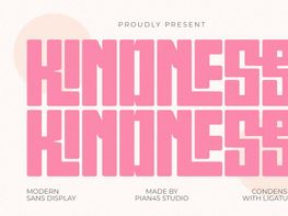 Kindness - Modern Sans Display Font preview picture
