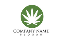 Canabis leaf vector illustration icon