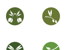 Branched olive fruit logo with creative idea.