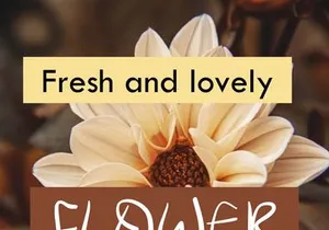 ALOJHA – Modern Casual Handwritten Font - (OTF)