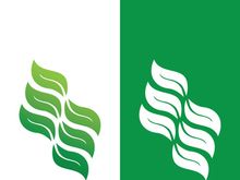 Green tree leaf nature logo images illustration design