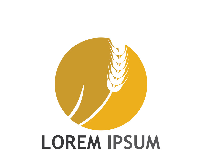 Organic wheat farm logo template.