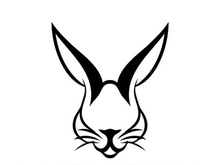 Rabbit logo