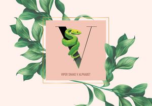 Template logo letters with animals set vector logotype.