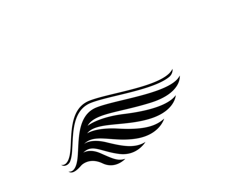 Wing illustration logo and symbol vector