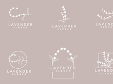 Lavender Logo Elegant Purple Flower Plant Illustration