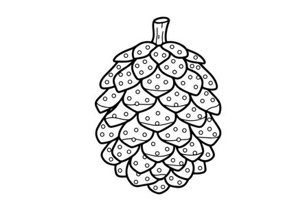 Ilustrasi seni garis pinus. Sketsa botani bergambar tangan pohon konifer biji.