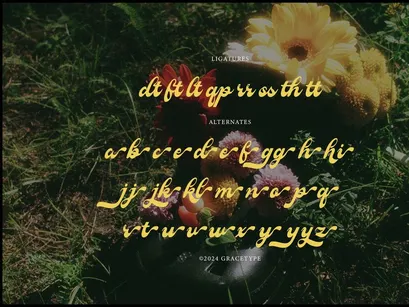 Fioltia Classica | Vilntage Bold Script