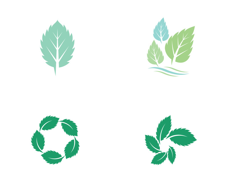 Mint Leaf icon template illustration