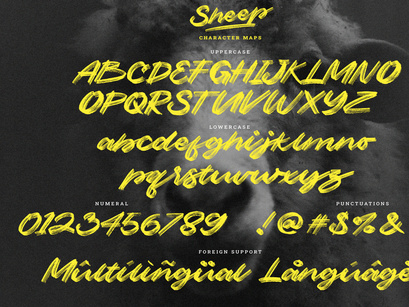 Sheep | Dry Brush Script Font