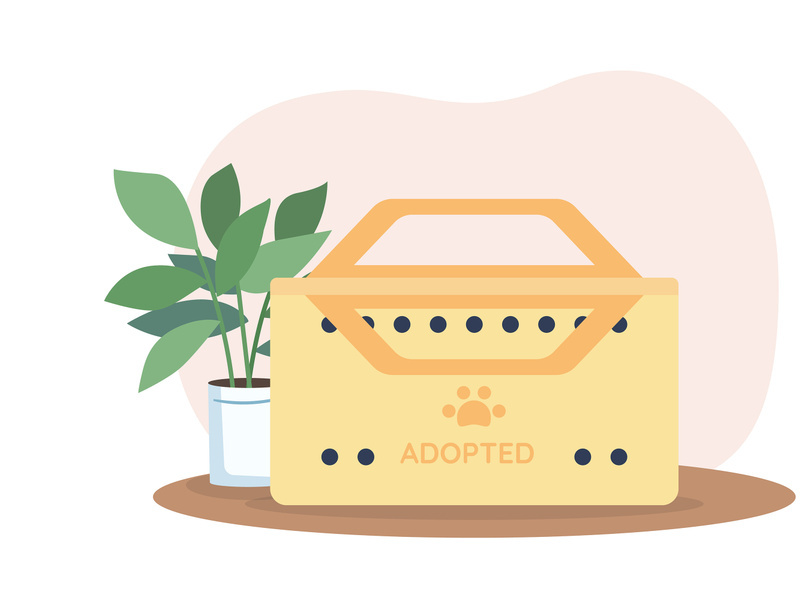 Box for adopted animal 2D vector web banner, poster