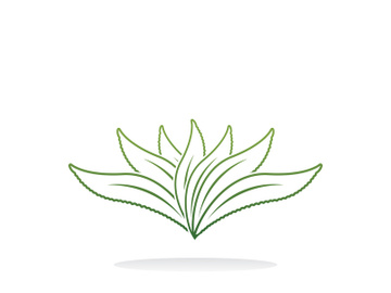 Aloe Vera logo icon design symbol beauty skin care preview picture