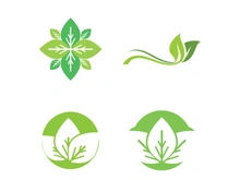 Nature leaf eco green logo icon