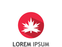 Maple leaf logo design with creative idea