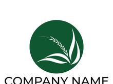 Green leaf logo design vector illustration