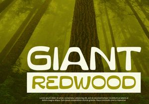 Gravis - Display Font