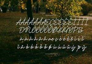Garden Scrawl | Rough Handwritten