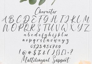 Anythings - Modern Calligraphy Font