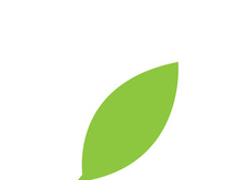 Leaf logo vector icon design template