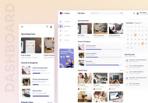 Colleges - Online Course Platform