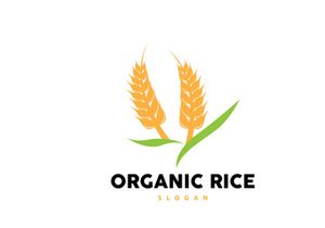 Wheat Grain Rice Logo, Simple Design Organic Vector Illustration