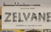 Zelvane – Elegant Linear Display