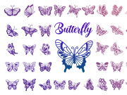 Butterfly, SVG Vector Illustration