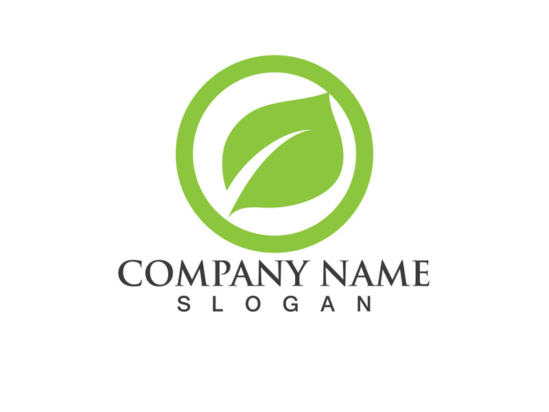 Green leaf logo Vector