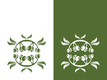 Extra virgin olive oil logo icon design vector illustration