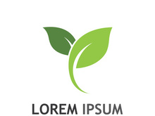 Natural green leaf logo design.
