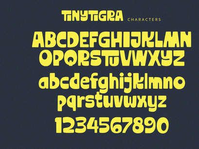 TinyTigra - Display Font